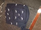 Hollister
